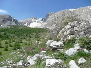 Auberge des Aiguilles - Image 5