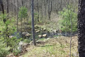 Tentrr - Crooked Run - Image 1
