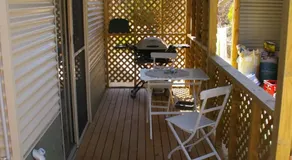 The Hakeas - Image 3