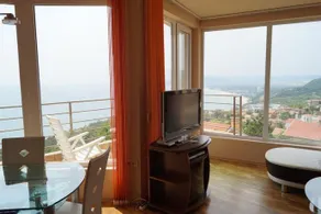 Sunshine Suite - Image 5