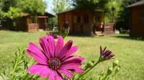 Camping Vall De Campmajor - Image 2