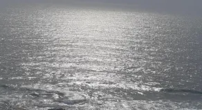 84 Camarque Umdloti beach - Image 3