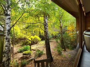 Musk Creek Hollow - Musk - Image 4
