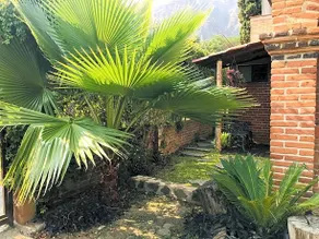 Posada Teopanco - Image 2