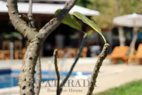 Patarada Boutique House - Image 3