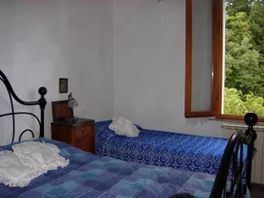Il Pino Amiata - Image 5