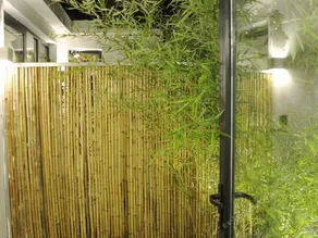 Haoshe Inn (Xitang) - Image 3