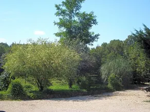L'oree Des Bois - Image 4