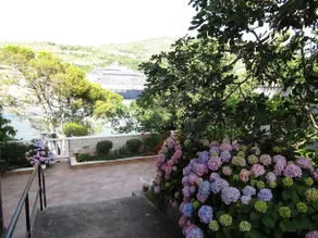 Guest House Radovic - Image 3