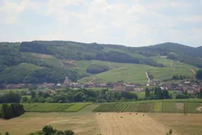 Anselm - Image 5