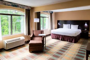 Best Western Plus North Savannah - Image 3