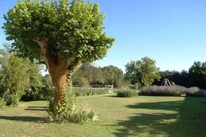 Gite du Marais Poitevin - Image 2