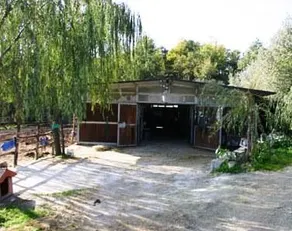 SANTO STEFANO DEI CAVALLI - Image 4