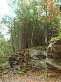 Rip Van Winkle Campgrounds - Image 3