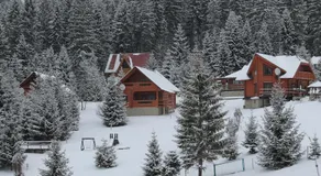 Oryavchik Country House - Image 3