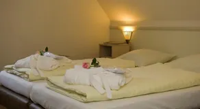Roompot Ferienresort Bad Bentheim - Image 5