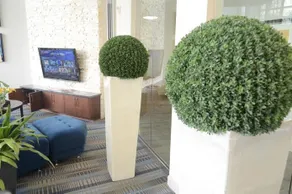 Domain at City Centre Apartments - Image 2