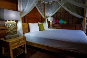 Alam Taman Villa - Image 4