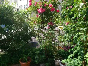 Messewohnung Nähe Düsseldorf - Image 5