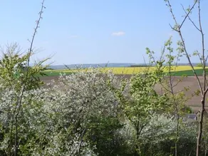 Ela s Ferienoase Haus Ketsching - Image 1
