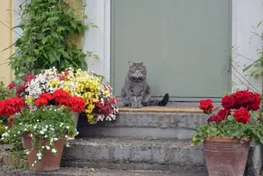 Vilhelmsro Bed & Breakfast - Image 3