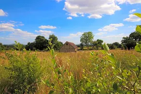 South cottage Rural gem in the heart of the Sussex countryside - Image 2