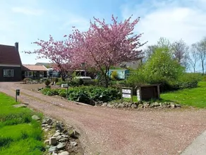 Betty Bed And Breakfast - Image 5