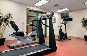 Microtel Inn & Suites Davis - Image 2