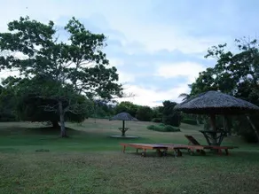 The Oasis Ayurveda Beach Hotel - Image 4