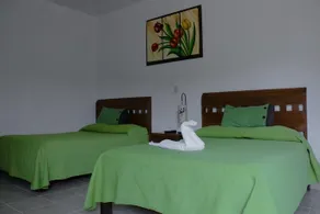 Posada El Canto Del Cenzontle - Image 5