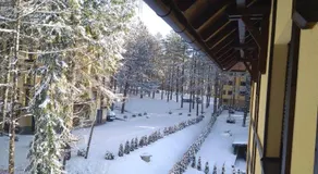 Apartman Dama - Image 2