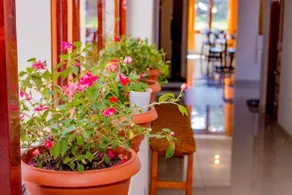 Cusco House - Image 3