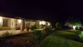 Madre Vita - Image 2