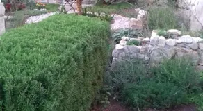 Apartman Lavanda - Image 5