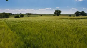 Zum Felde Ferienwohnungen - Image 4