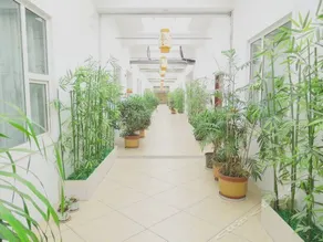 Huagang Holiday Hotel - Image 4