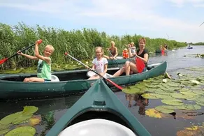 B&B De Hoop - Image 5