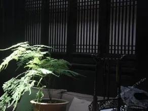 Huangshan ShouShanRuZong Hotel - Image 3