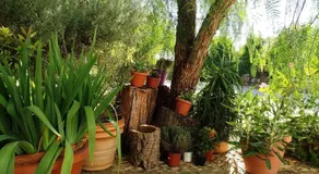 Casa con encanto en Alájar- El Bosque mágico de Alájar - Image 3