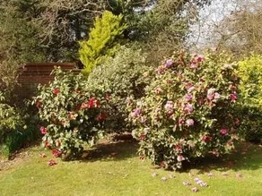 1 Honeysuckle Gardens B&B - Image 5