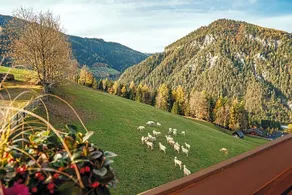 Mittergruberhof - Image 2