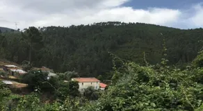 Casa dos Duartes - Image 4