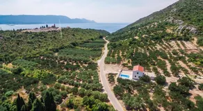 Villa Dragobratović - Image 2