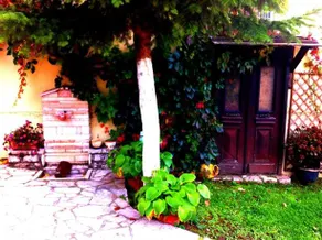 To Konaki - Image 5