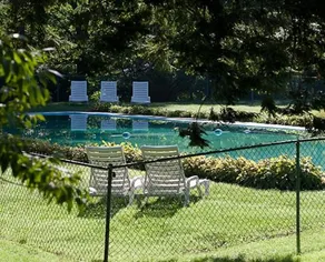 The Alpine Inn - Image 3