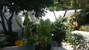 Zagara Bed And Breakfast - Image 5