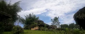 Arasha Resort & SPA - Image 3