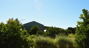 Swan Valley Sisters - Image 4