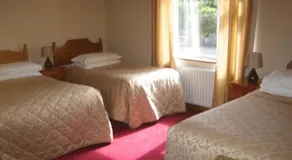 Bunratty Grove Bed And Breakfast - Image 3