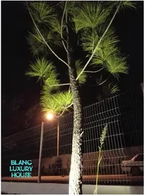 BLANC LUXURY HOUSE - Image 2